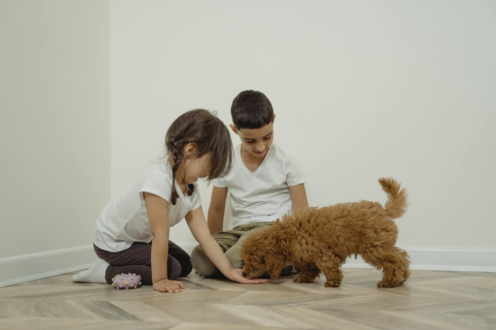 New Dog or Puppy Owner Checklist!