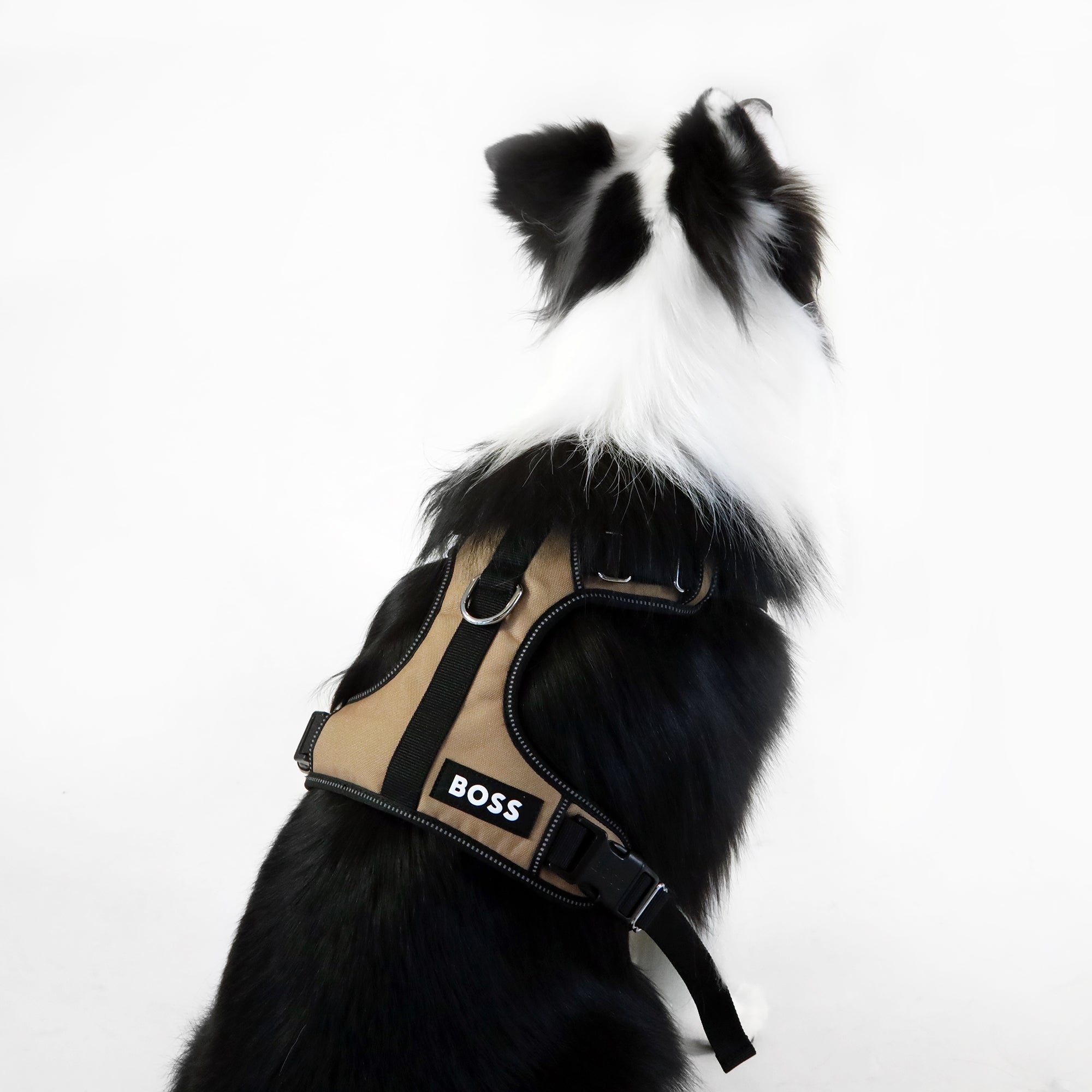 BOSS Dog Essentials Harness The Life of Riley  The Life of Riley