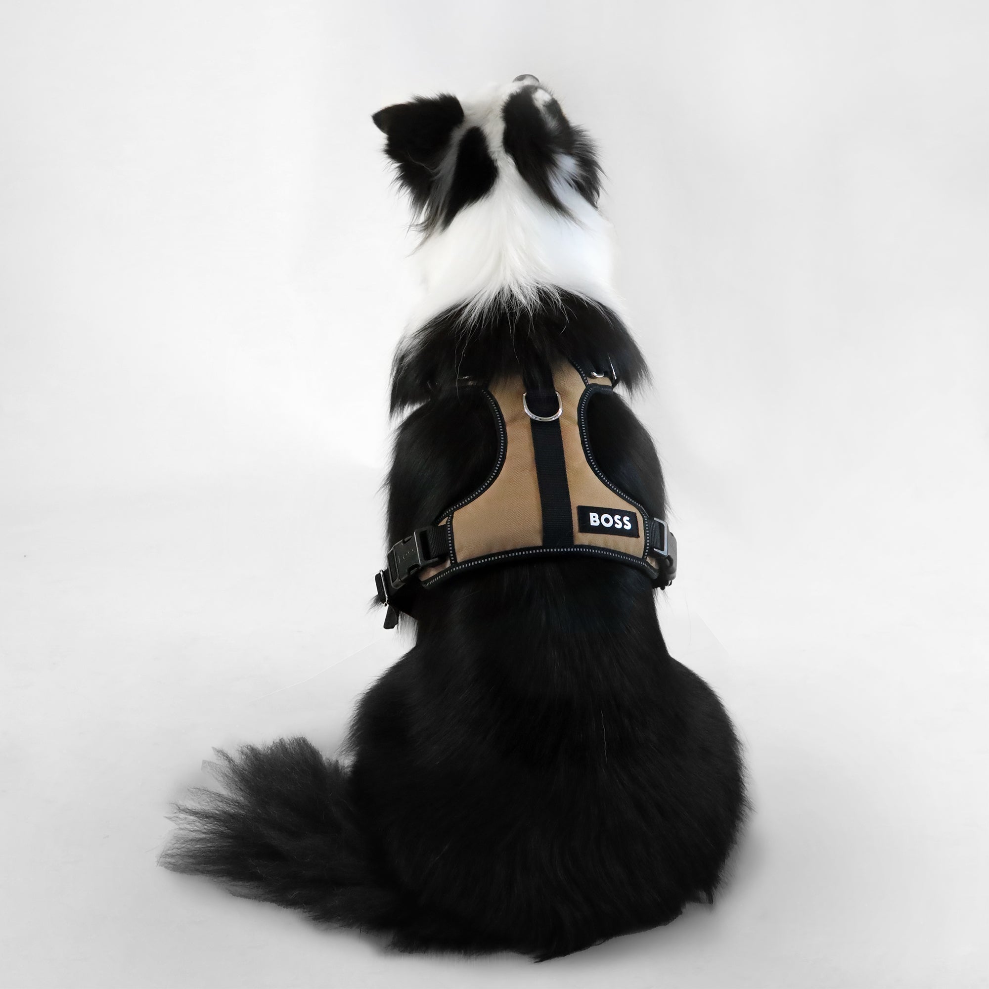 BOSS Dog Essentials Harness The Life of Riley  The Life of Riley