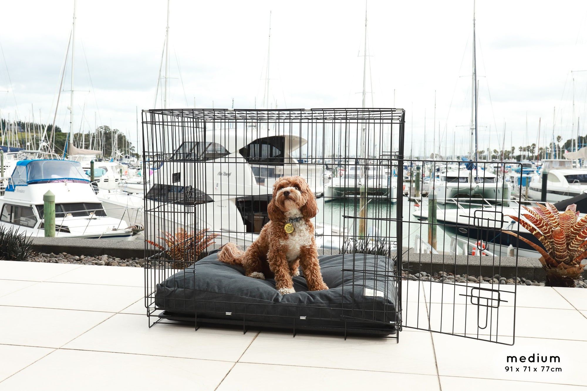 Premium Dog Crate The Life of Riley Dog Beds The Life of Riley