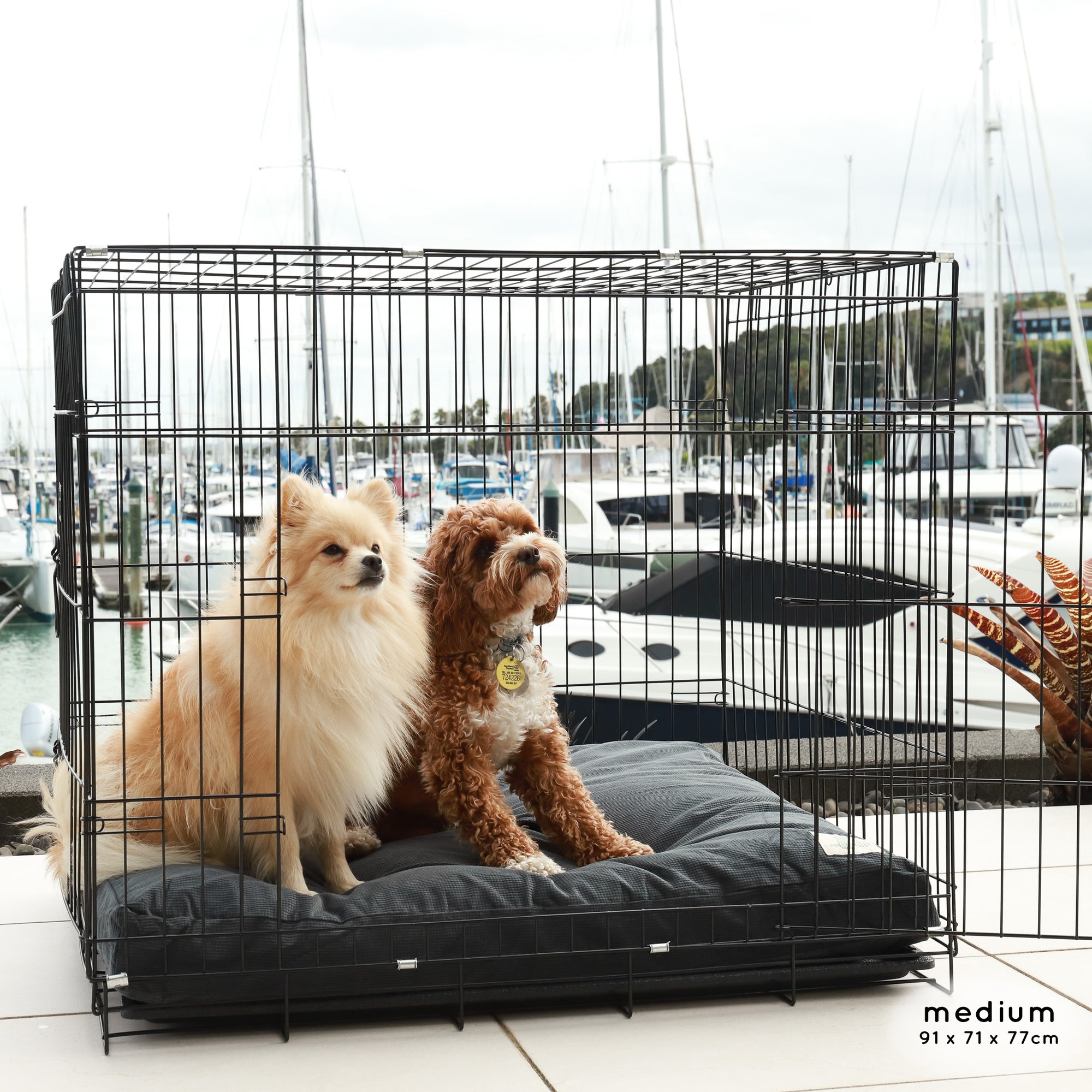 Premium Dog Crate The Life of Riley Dog Beds The Life of Riley