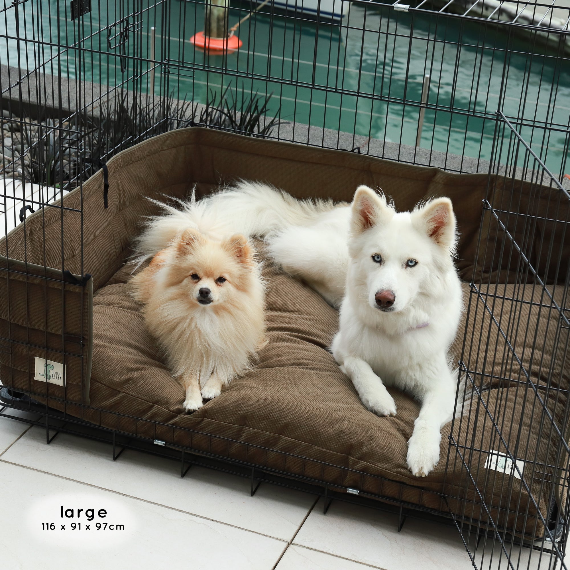 Premium Dog Crate The Life of Riley Dog Beds The Life of Riley