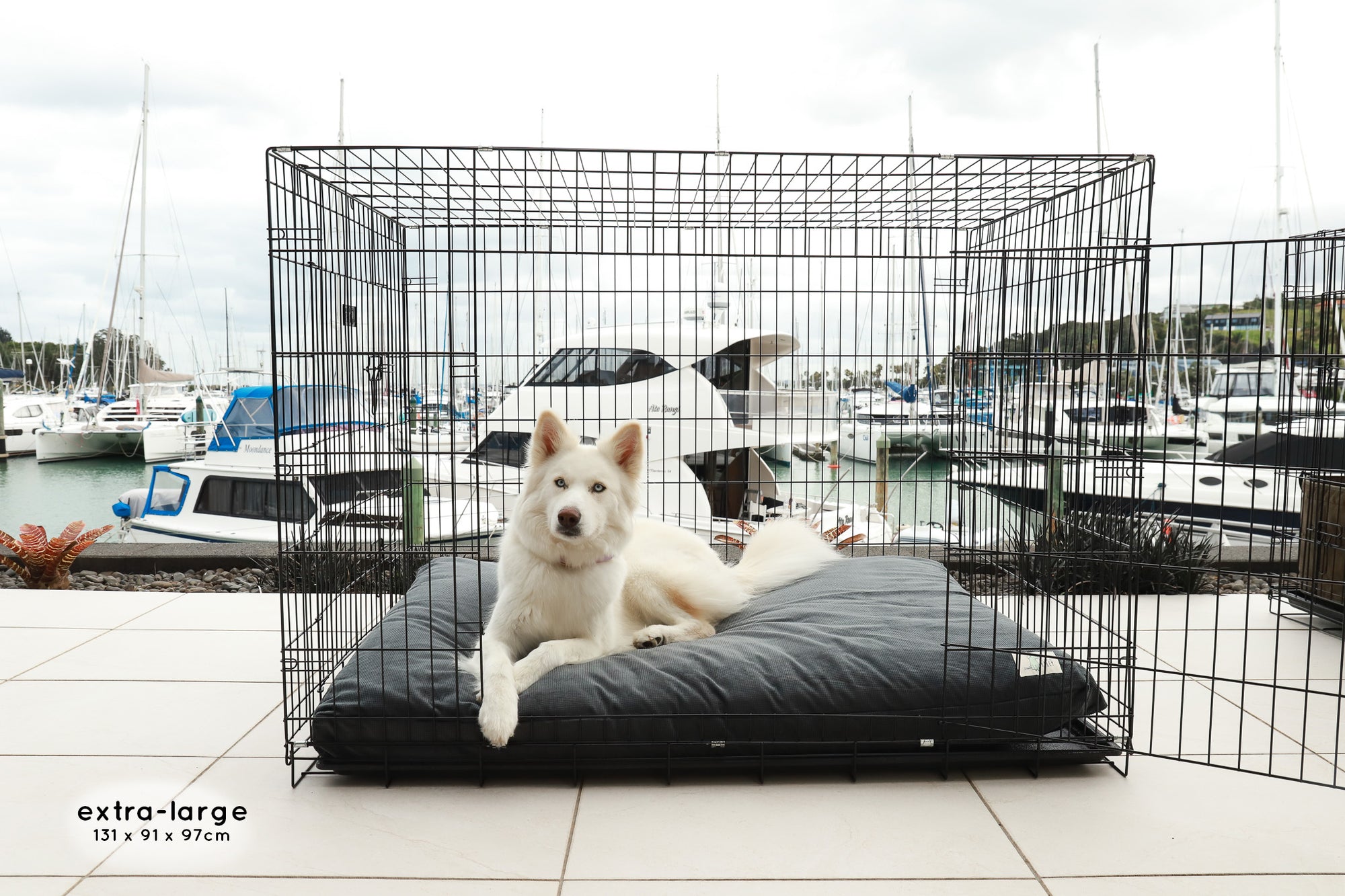 Premium Dog Crate The Life of Riley Dog Beds The Life of Riley