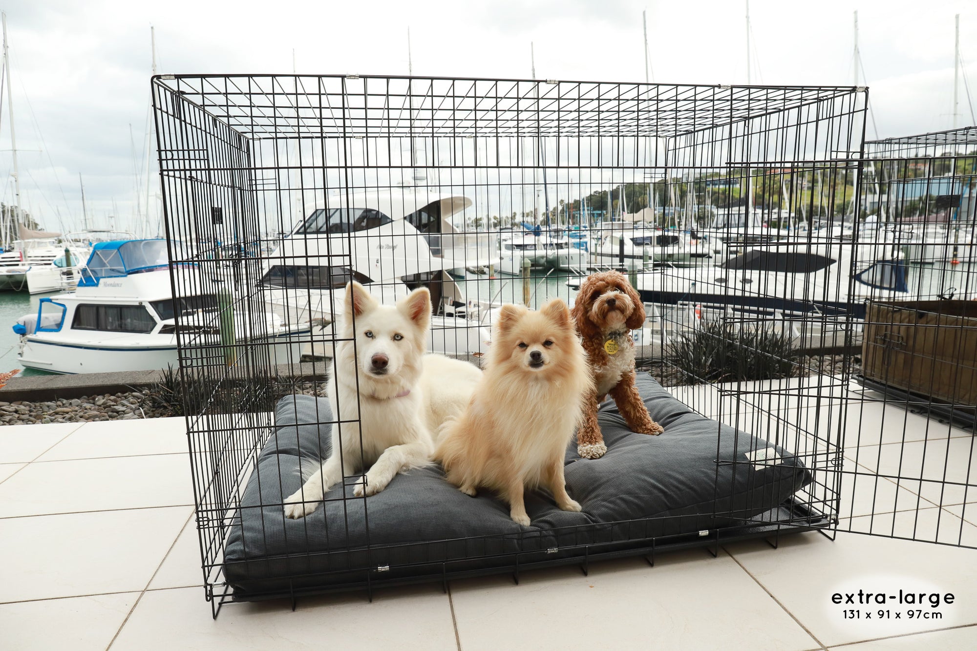 Premium Dog Crate The Life of Riley Dog Beds The Life of Riley