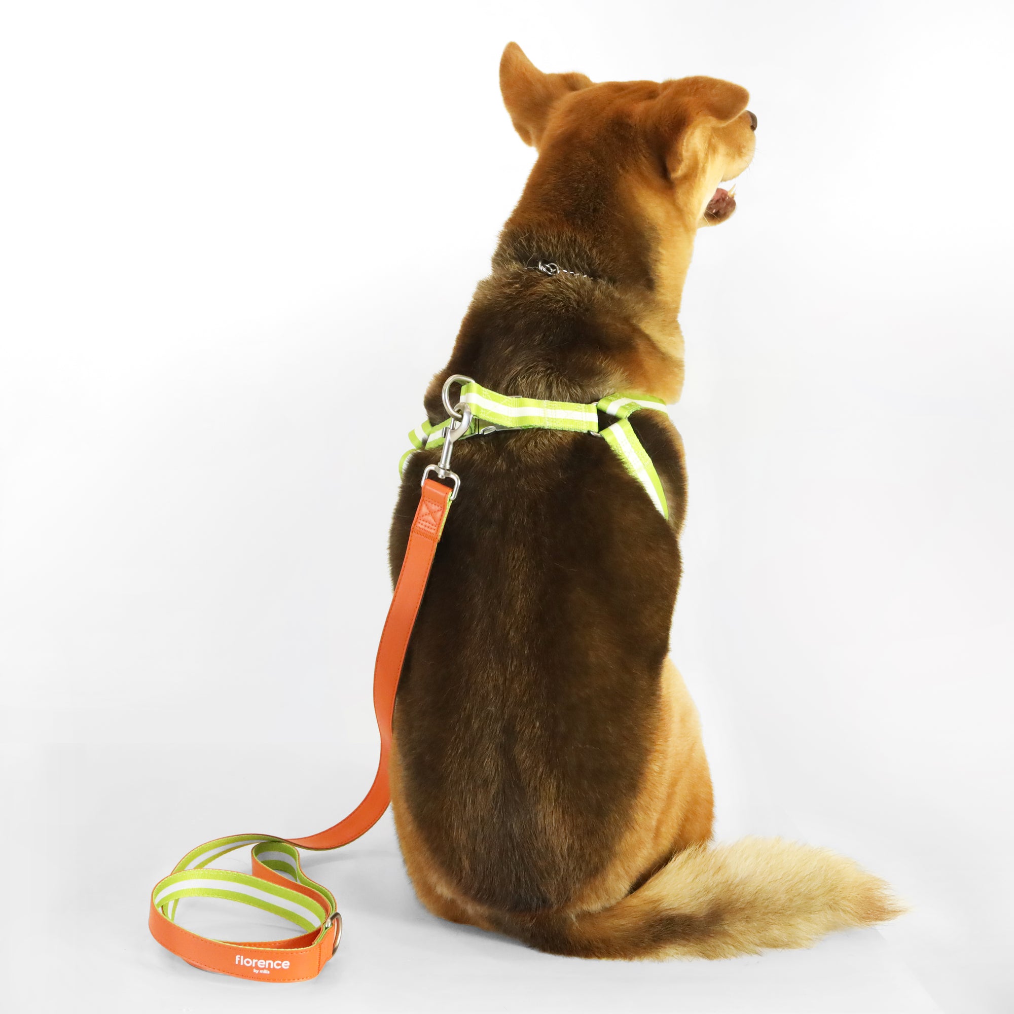 Florence by Mills Dog Harness