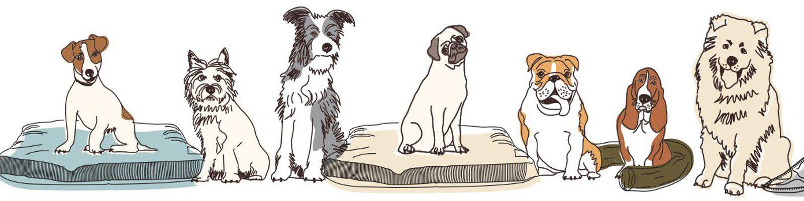 Dog beds for all types of dogs - luxury beds