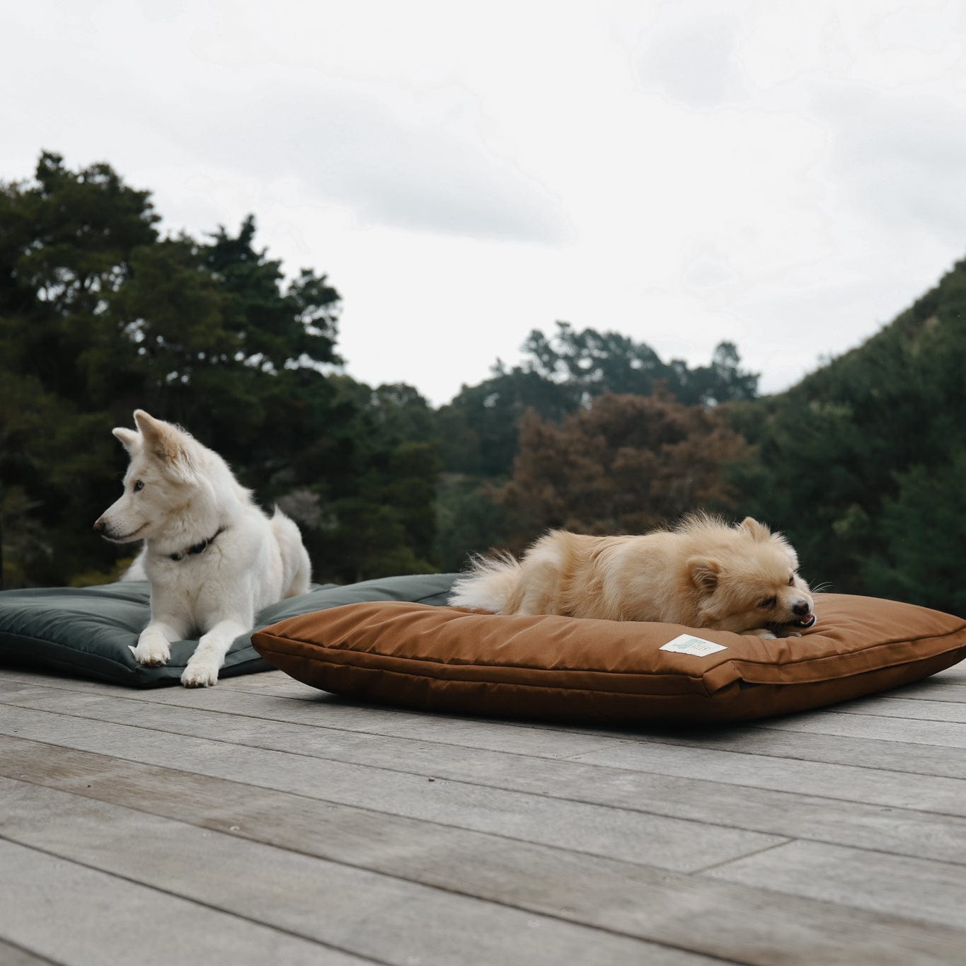 The Outdoor Bed - The Life of Riley