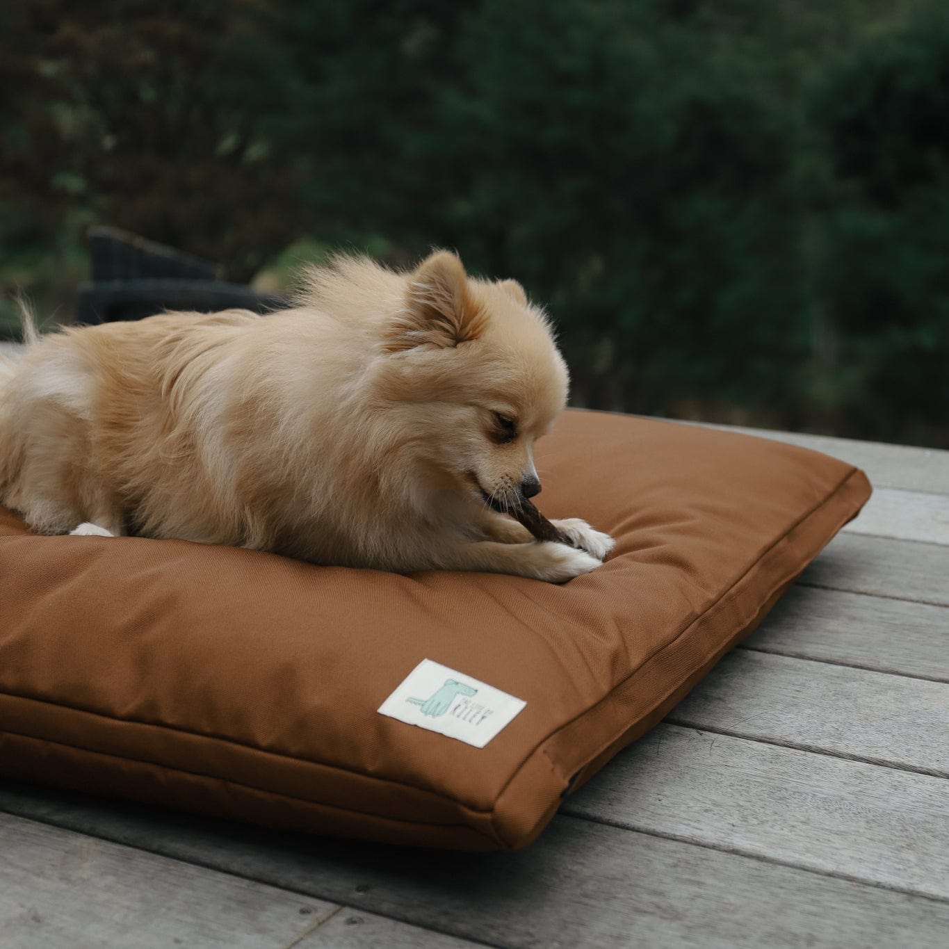 The Outdoor Bed - The Life of Riley
