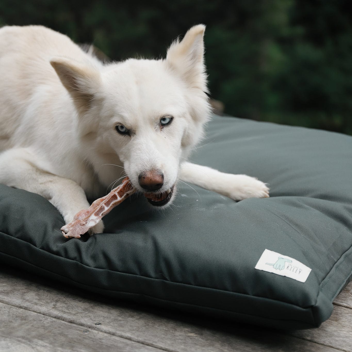 The Outdoor Bed - The Life of Riley