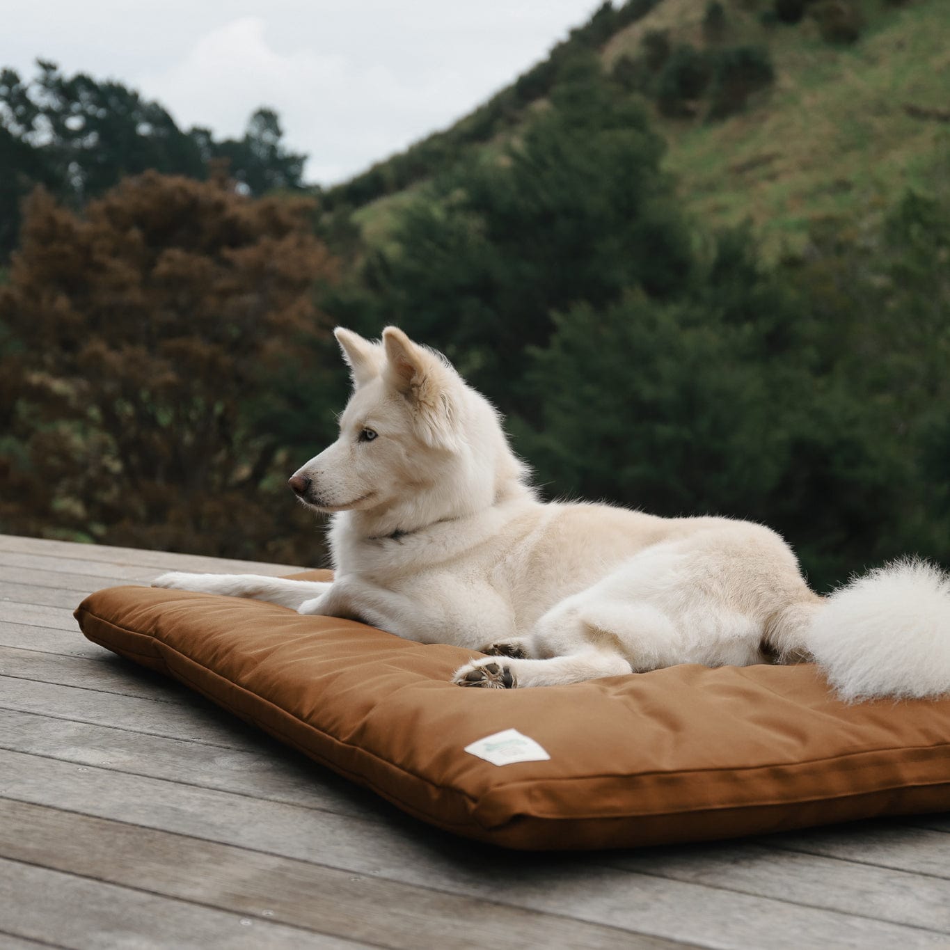 The Outdoor Bed - The Life of Riley