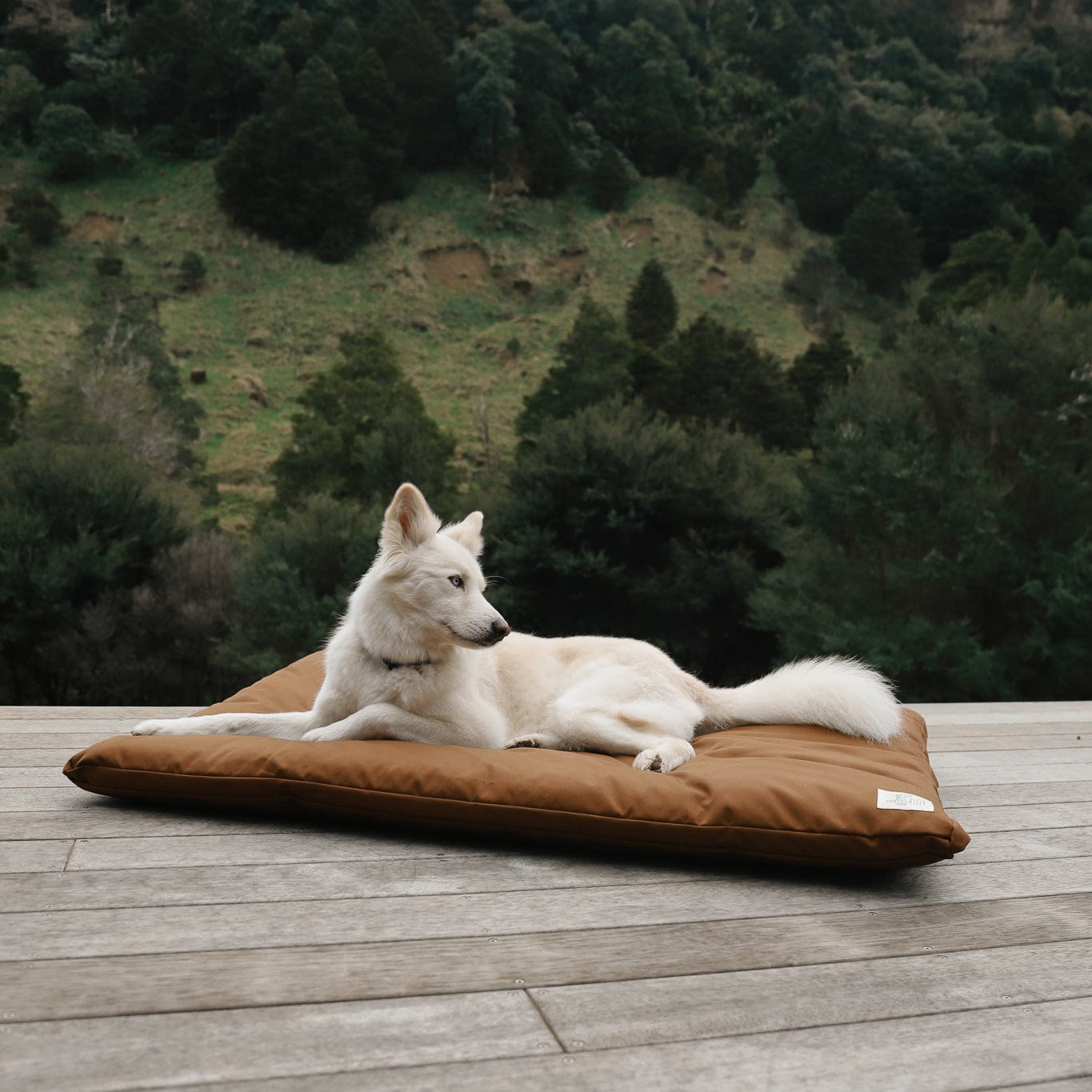 The Outdoor Bed - The Life of Riley
