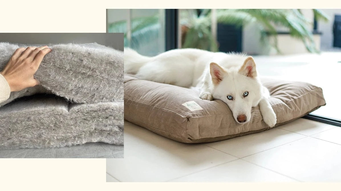 NZ MADE WOOL DOG BEDS