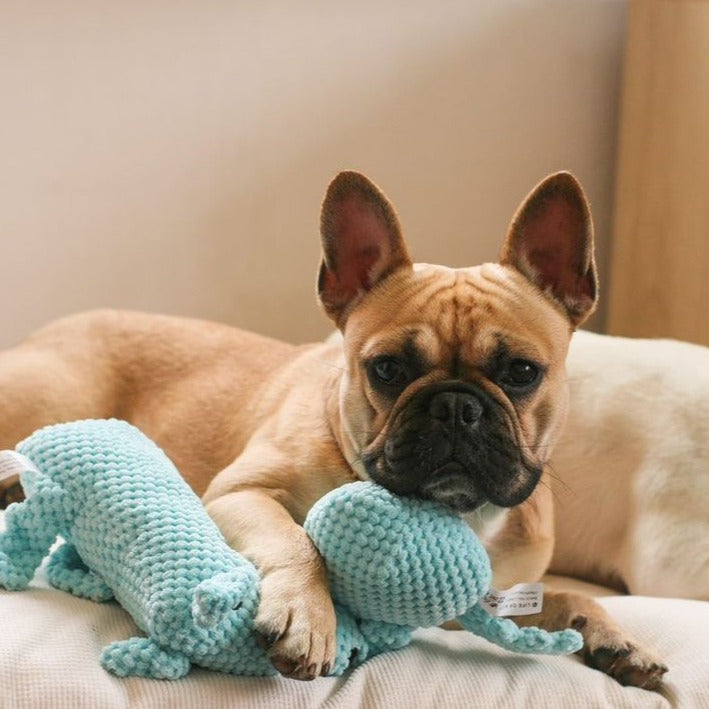 Riley Soft Toy The Life of Riley  The Life of Riley