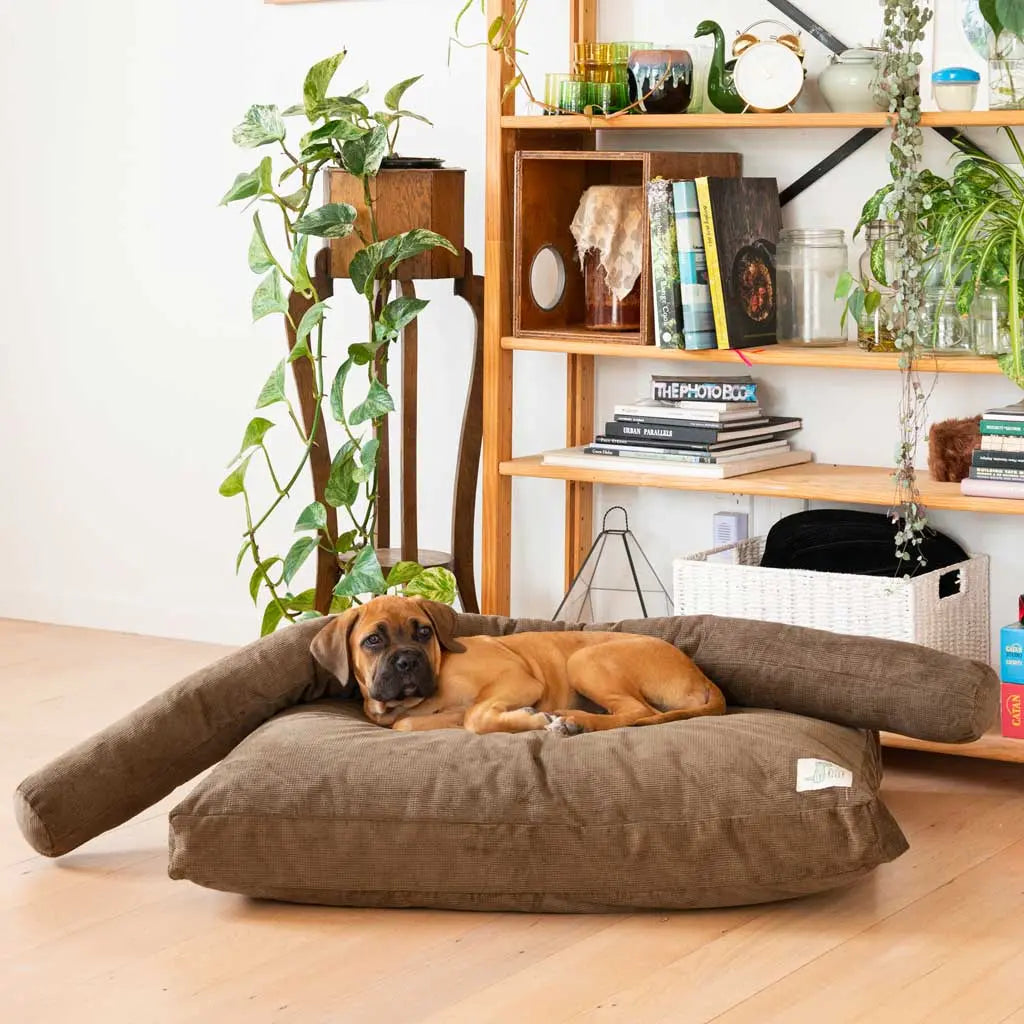 Snuggle Sausages Life of Riley Pet Products  The Life of Riley