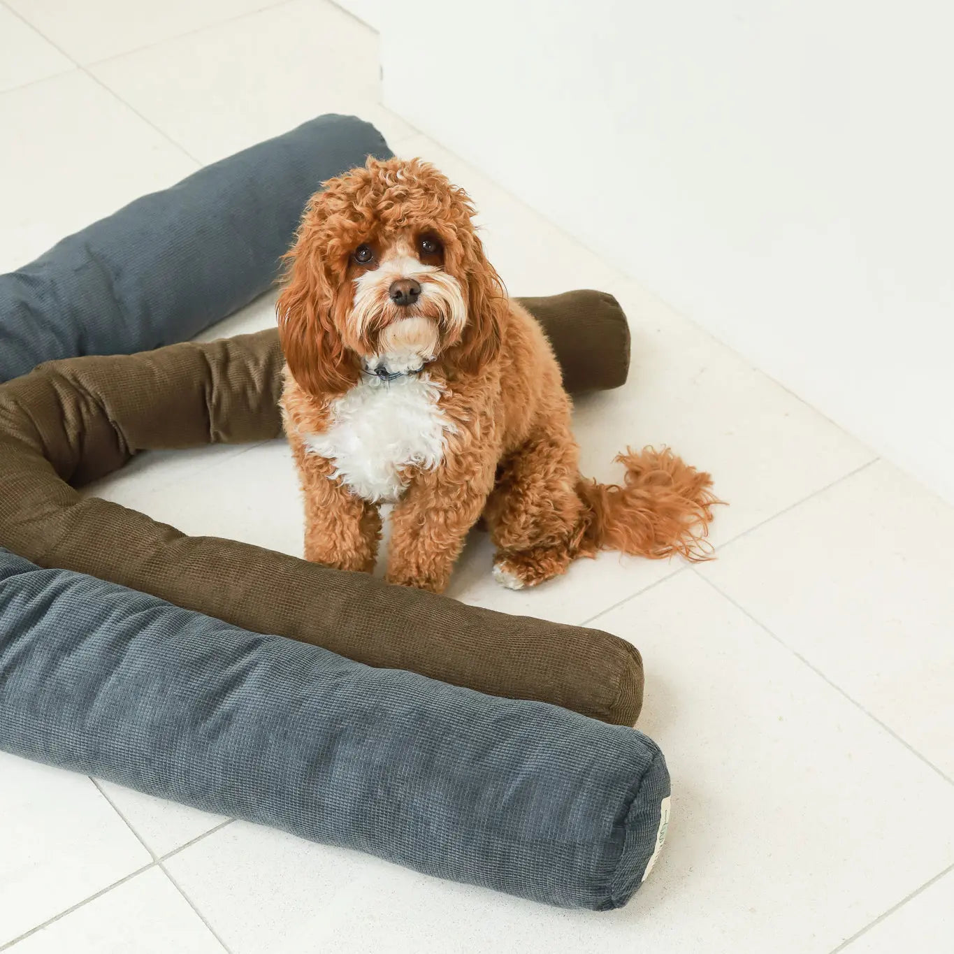 Snuggle Sausages Life of Riley Pet Products  The Life of Riley