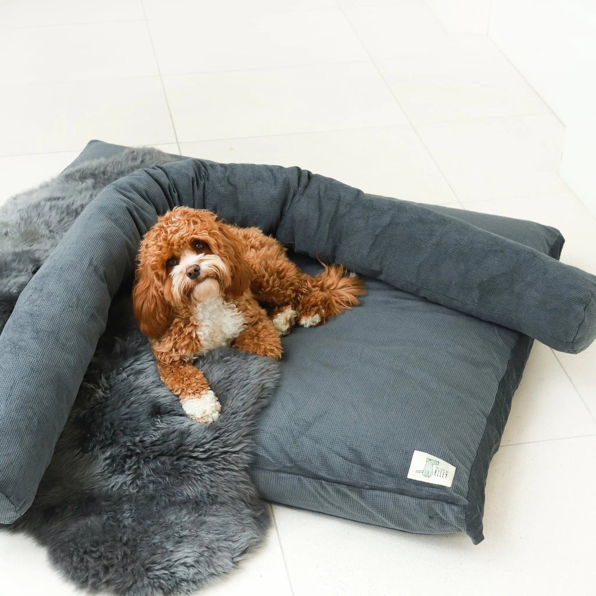 The Original Dog Bed Life of Riley Pet Products Dog Beds The Life of Riley