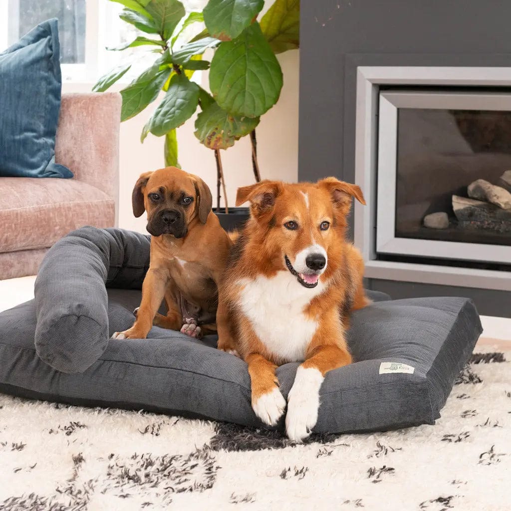 The Original Dog Bed Life of Riley Pet Products Dog Beds The Life of Riley
