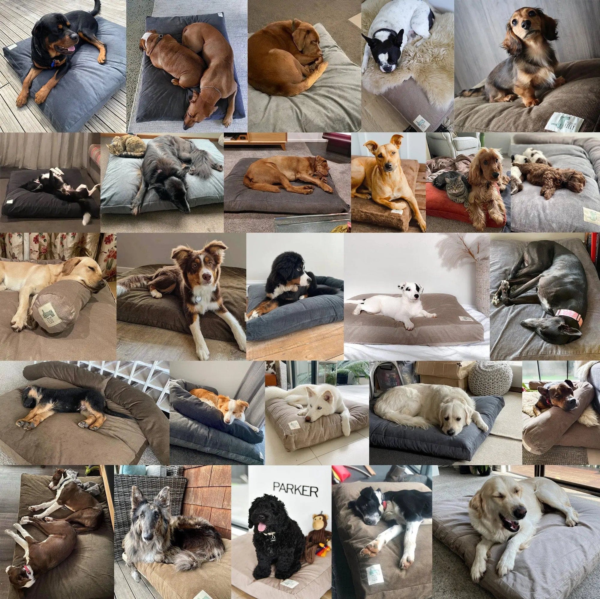 The Original Dog Bed Life of Riley Pet Products Dog Beds The Life of Riley