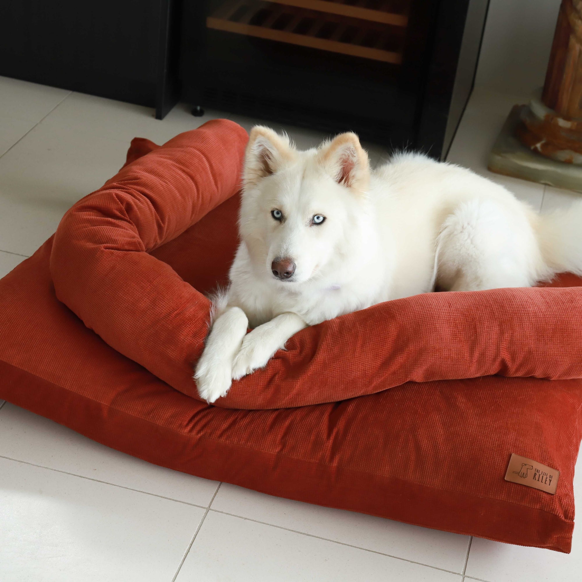 The Original Dog Bed Life of Riley Pet Products Dog Beds The Life of Riley