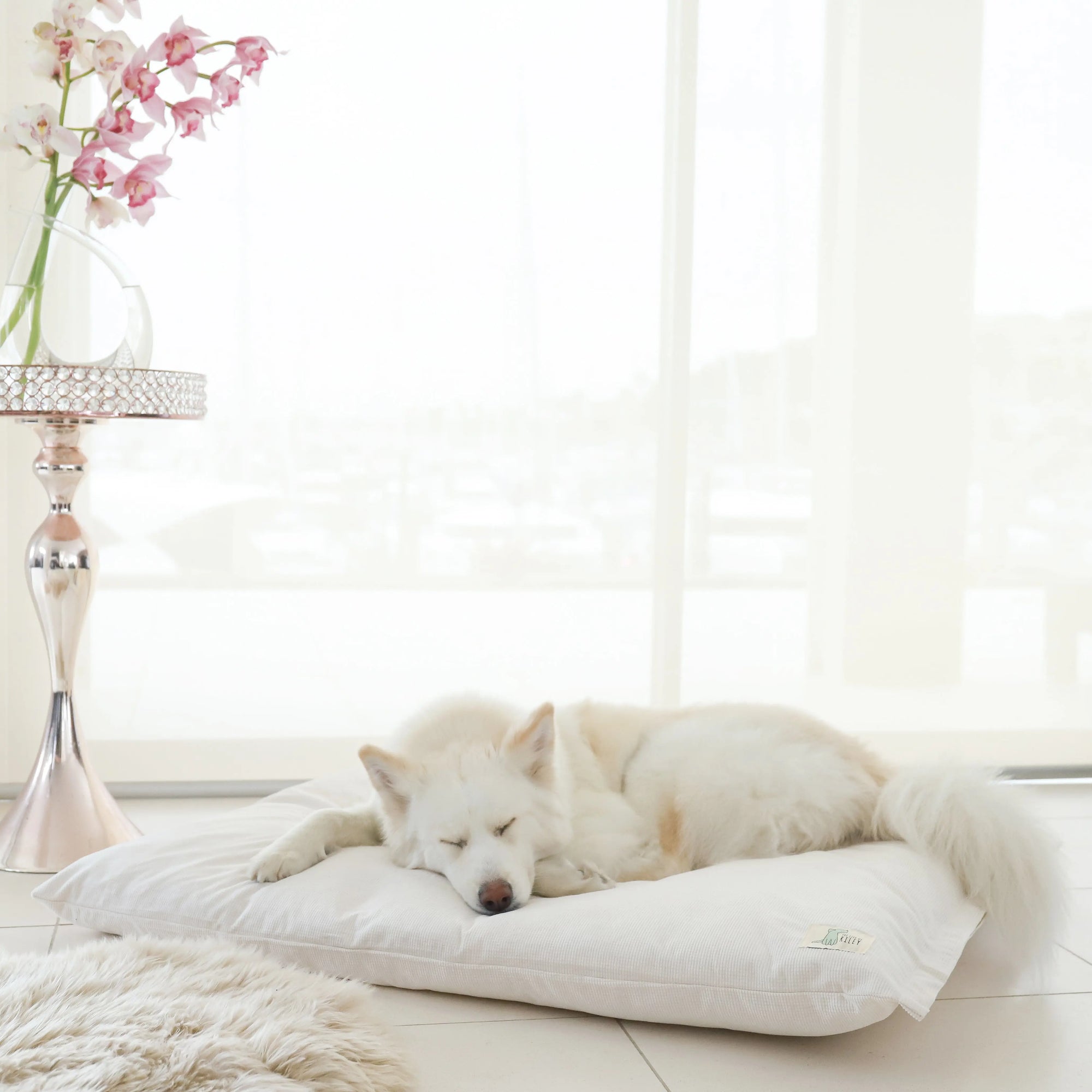 The Swag Bed Life of Riley Pet Products Dog Beds The Life of Riley