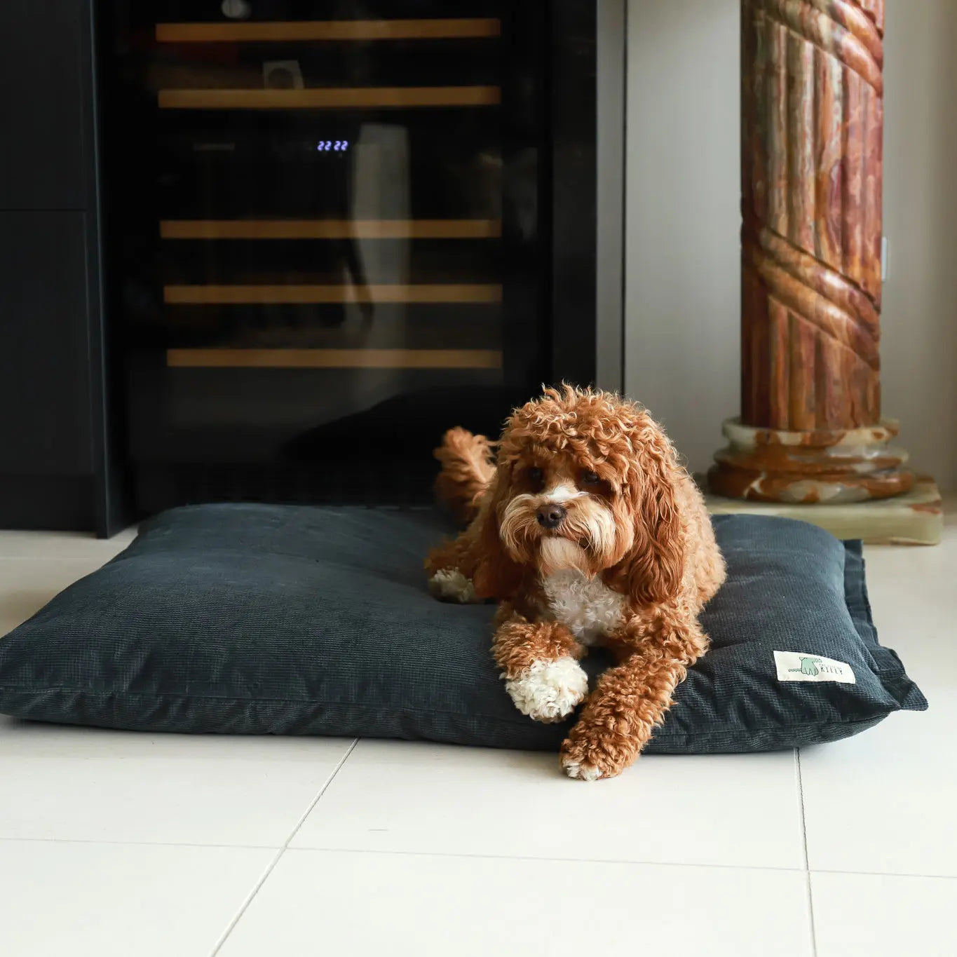 The Swag Bed Life of Riley Pet Products Dog Beds The Life of Riley