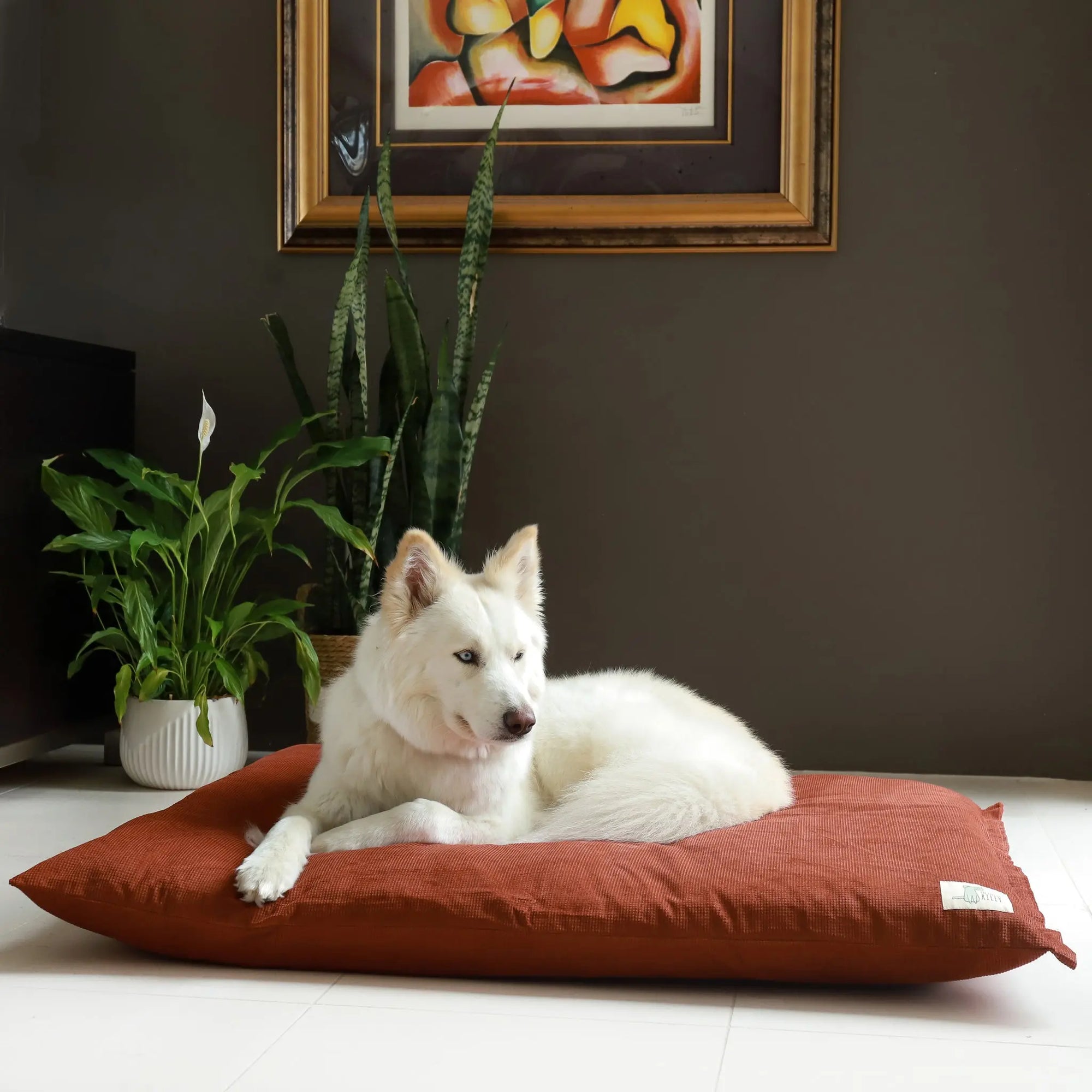 The Swag Bed Life of Riley Pet Products Dog Beds The Life of Riley