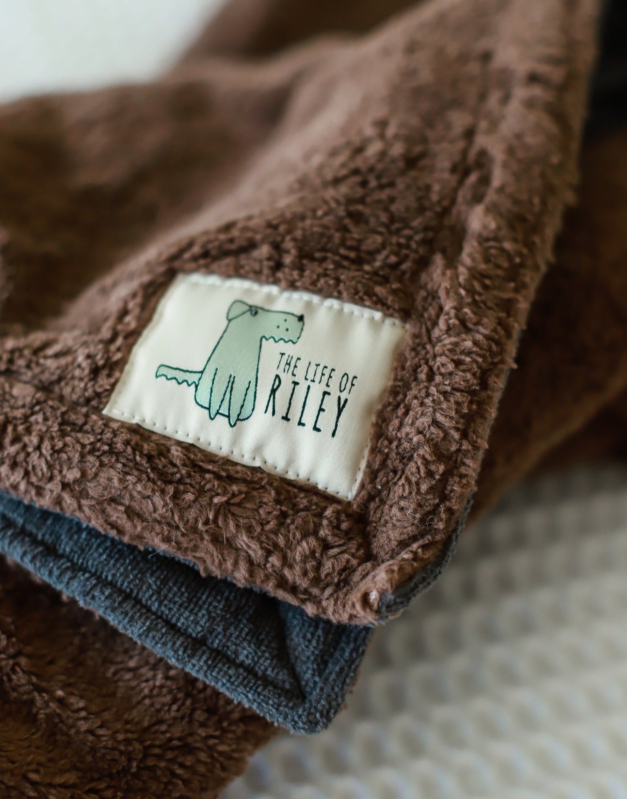 Organic Cotton Teddy & Terry Blanket Life of Riley Pet Products  The Life of Riley