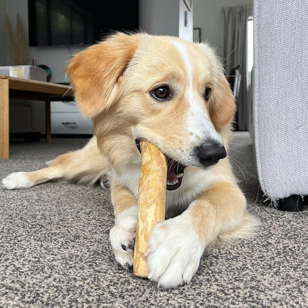 Coffee Wood Chew Life of Riley Pet Products  The Life of Riley