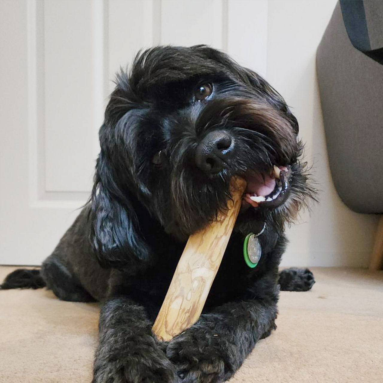 Coffee Wood Chew Life of Riley Pet Products  The Life of Riley