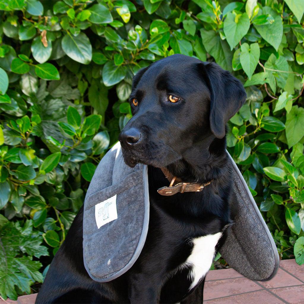 Terry Towelling Dog Drying Mit Life of Riley Pet Products  The Life of Riley