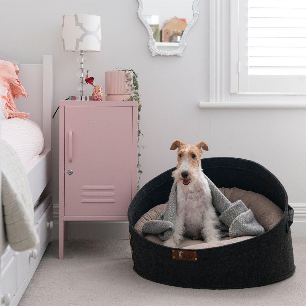 100% NZ Wool Blankets Life of Riley Pet Products  The Life of Riley