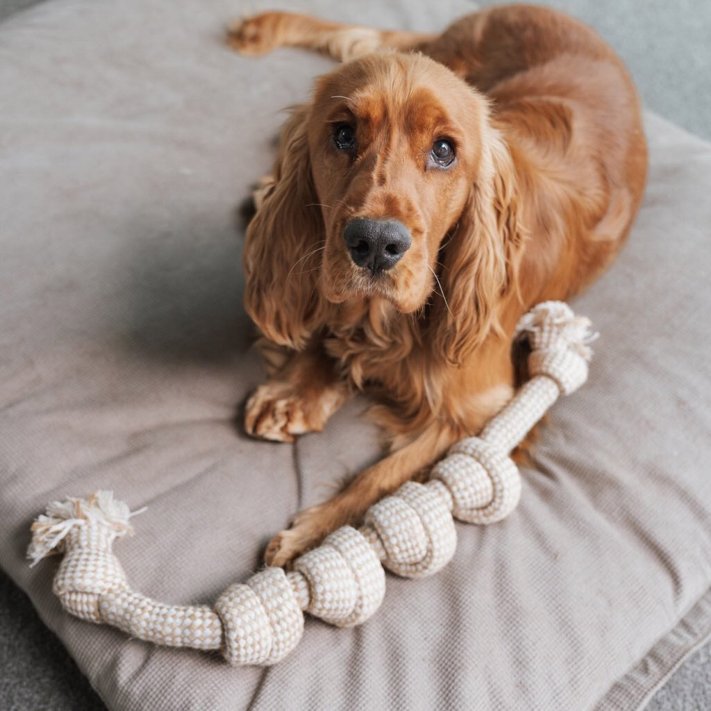 Hemp Rope Toys The Life of Riley  The Life of Riley