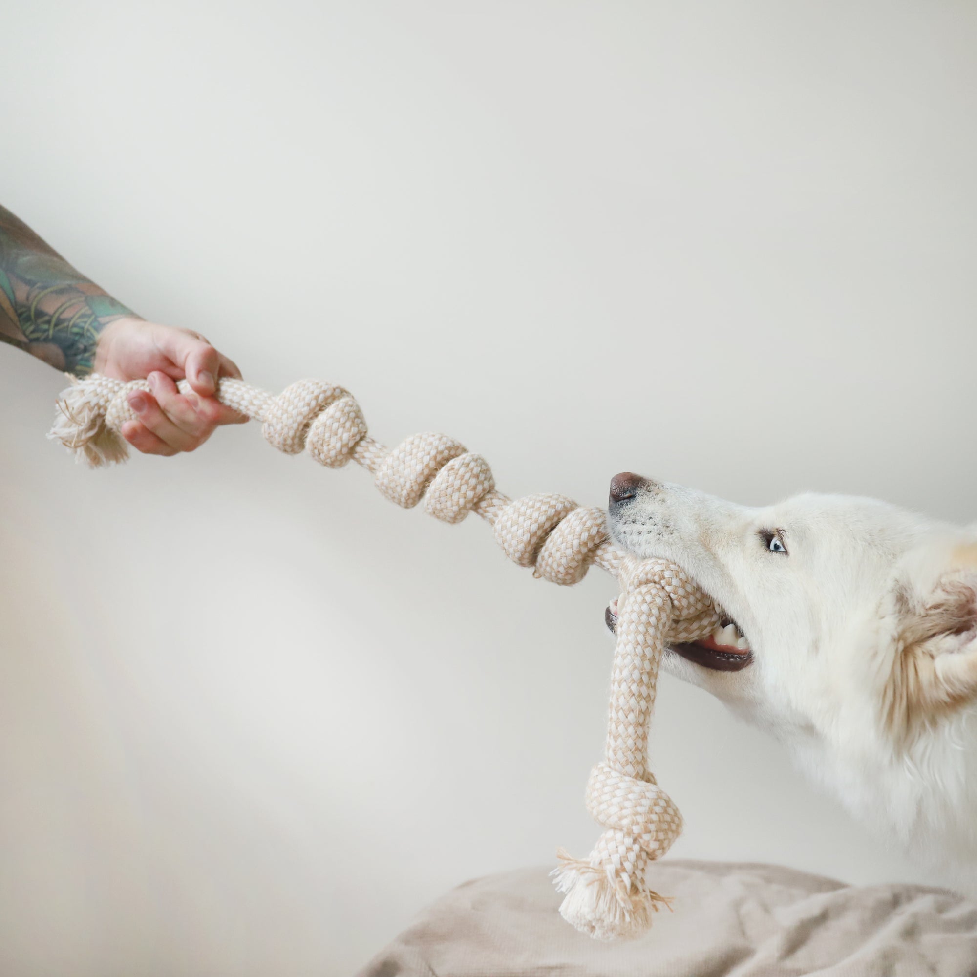 Hemp Rope Toys The Life of Riley  The Life of Riley