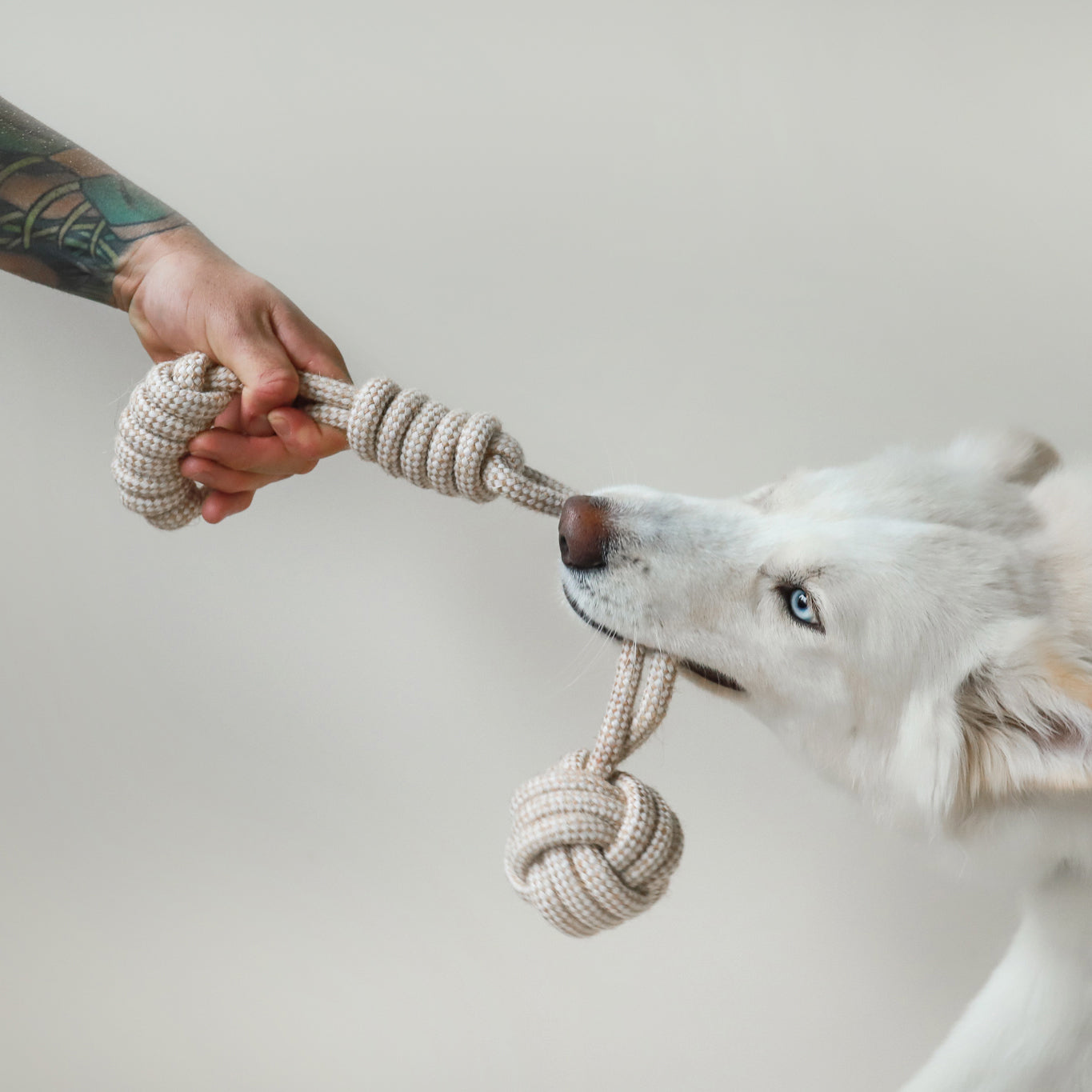 Hemp Rope Toys The Life of Riley  The Life of Riley