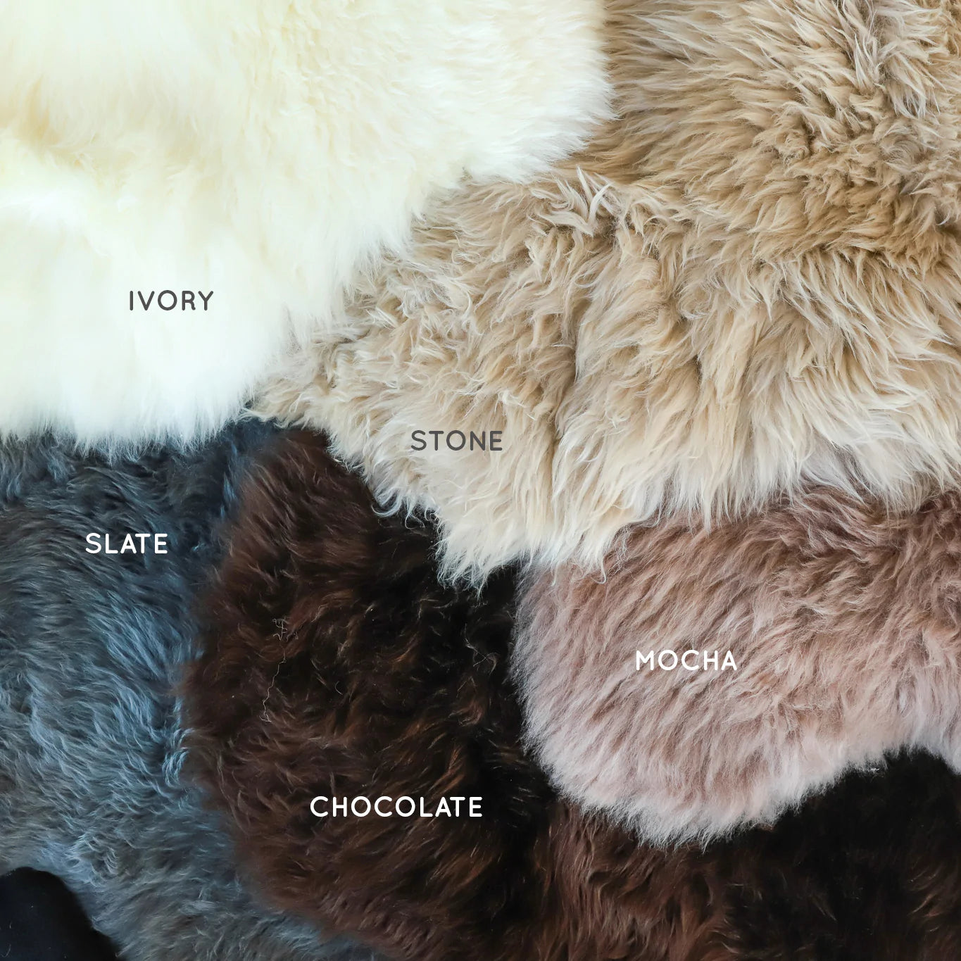 Premium Dog Bed Bundle The Life of Riley  The Life of Riley