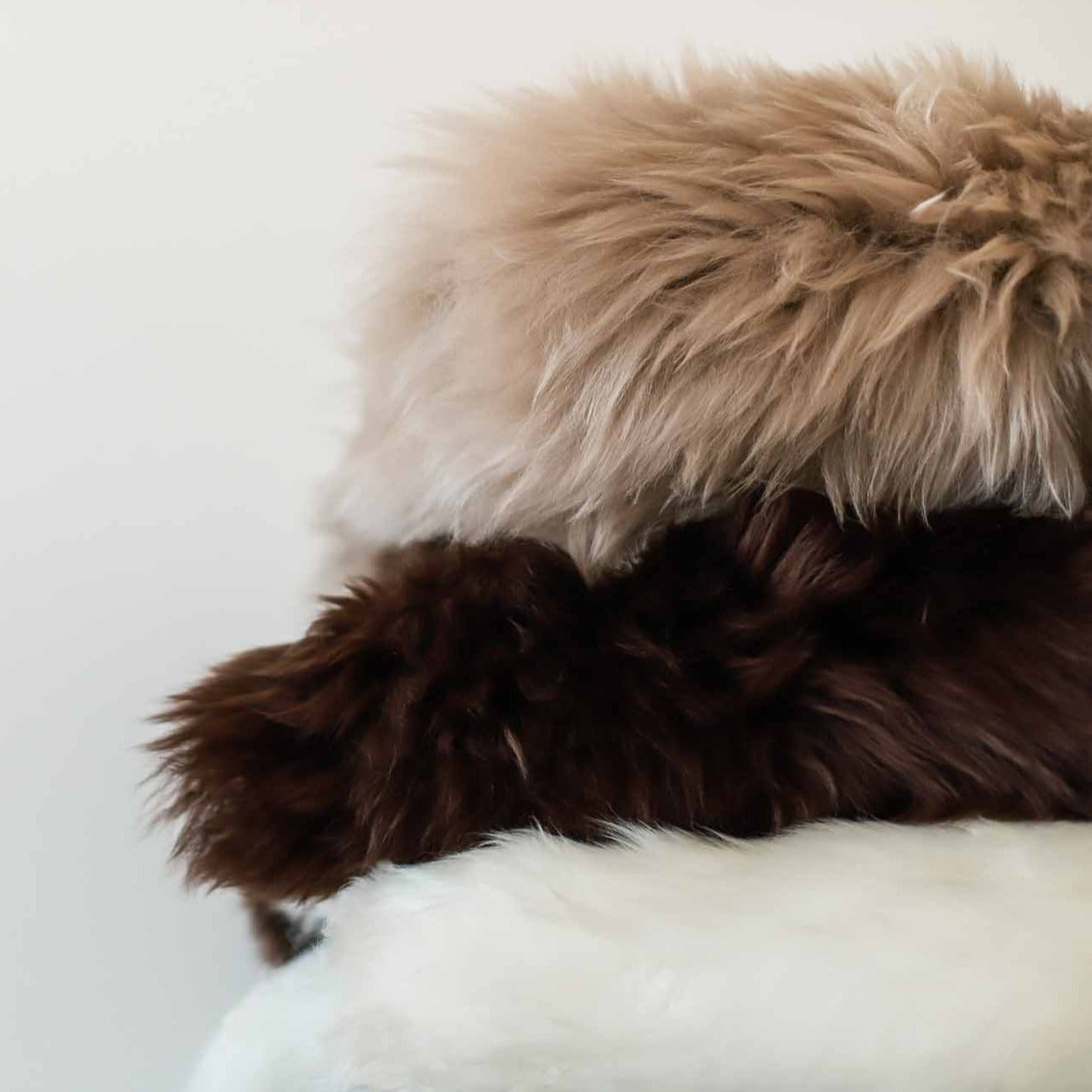 NZ Longwool Sheepskins Life of Riley Pet Products  The Life of Riley