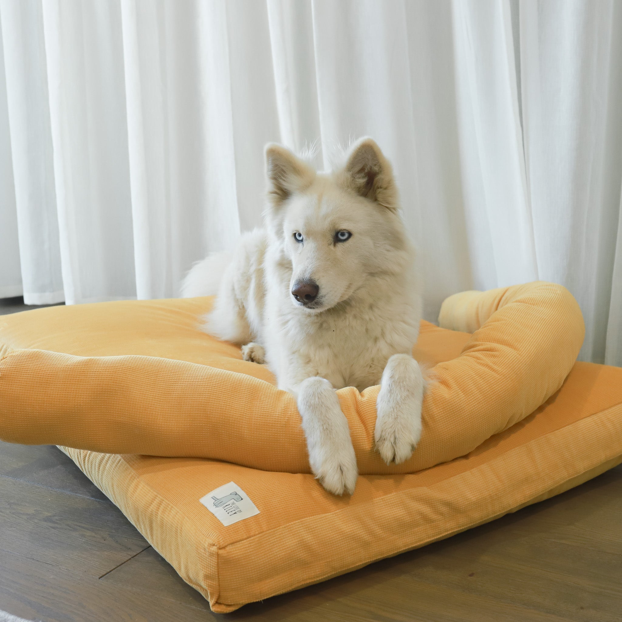 Wool Filled Dog Beds - Large , Medium and Small
