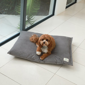 Spare Cover - The Swag Bed Life of Riley Pet Beds Dog Bed Covers The Life of Riley