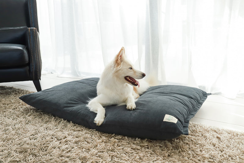 Extra large cedar top dog beds