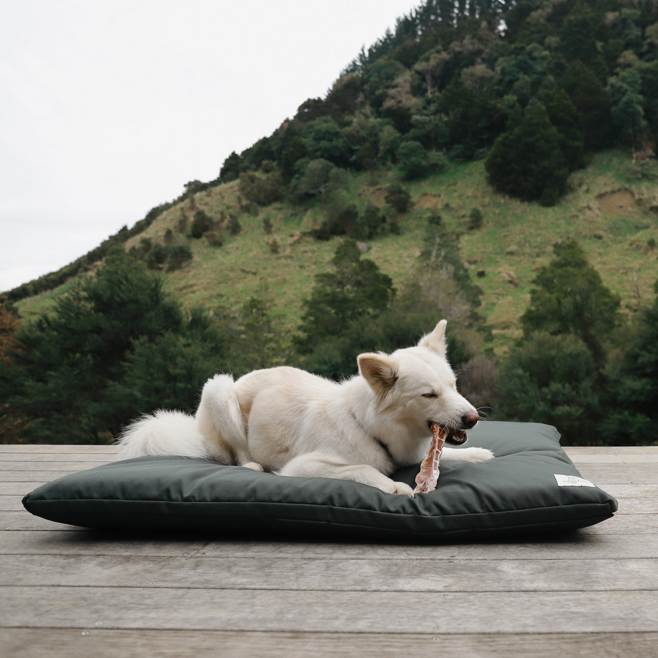 The Outdoor Bed Wool Filled Farm Dog Bed Made in NZ