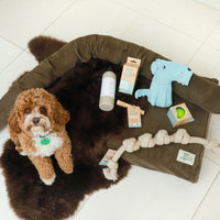 Luxury Dog Bed Bundle The Life of Riley  The Life of Riley