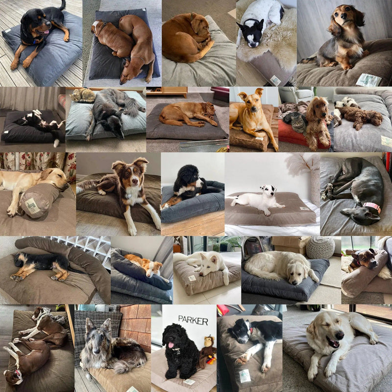 The Original Dog Bed Life of Riley Pet Products Dog Beds The Life of Riley