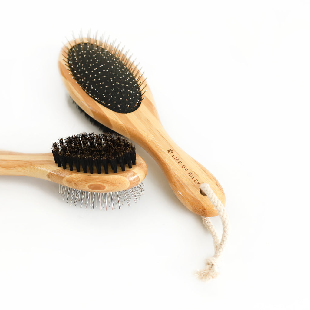 Boar bristle outlet dog brush